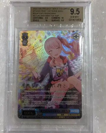 BGS9.5 프로세카 샤오산 루이키 SSP