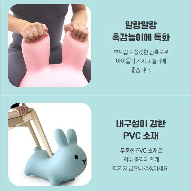 이고진 토끼 짐볼 ( 민트색 )