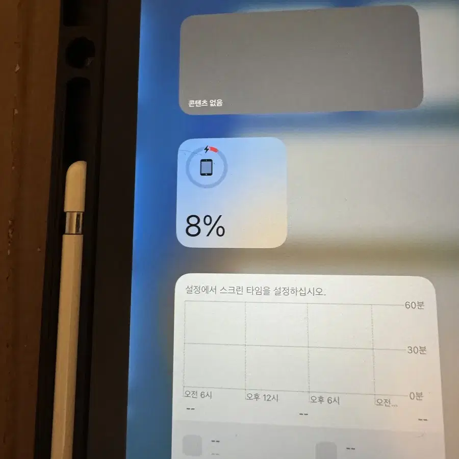 아이패드 프로 2세대 12.9인치 256gb 셀룰러