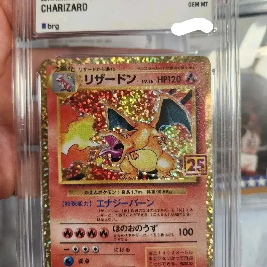 근본 리자몽 일판 25주년 brg 10 등급 bgs psa