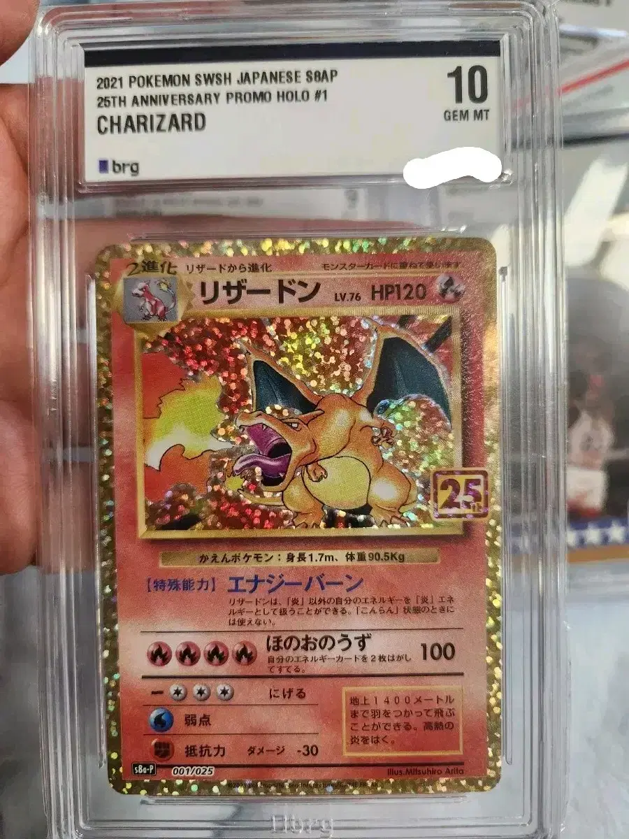 리자몽 근본 일판 25주년 brg 10 등급 bgs psa