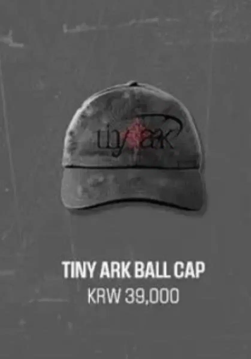 ) jung ilhoon Trade Show Merchandise Hats