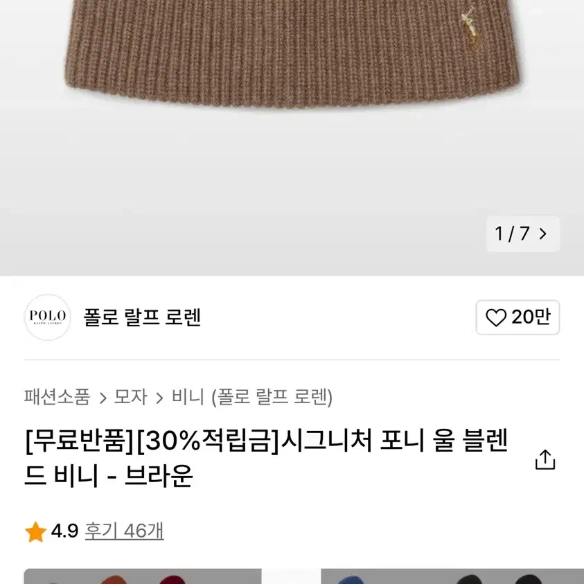 폴로 비니