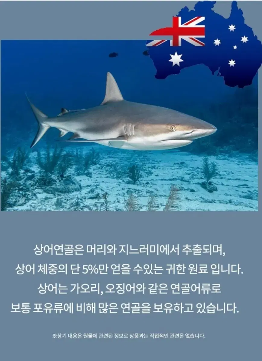 무릎 손목 아프신분 (콘드로이친 상어 연골)