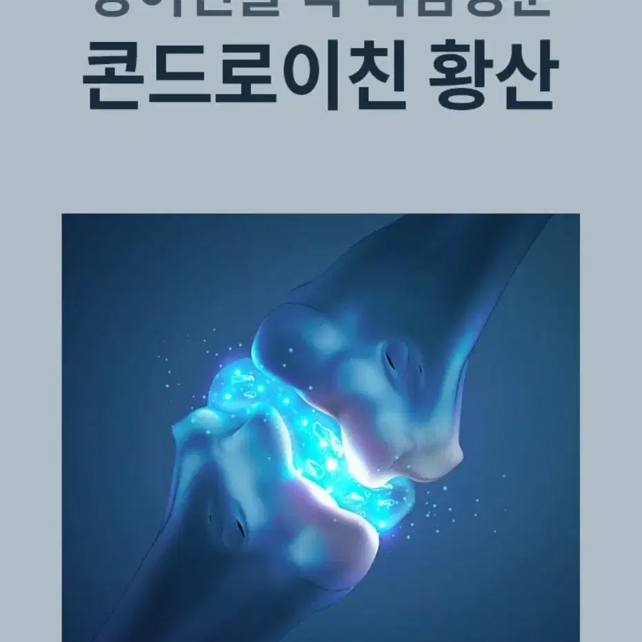 무릎 손목 아프신분 (콘드로이친 상어 연골)