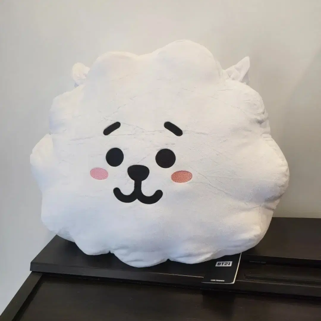 BT21 RJ 42 센티 큐션