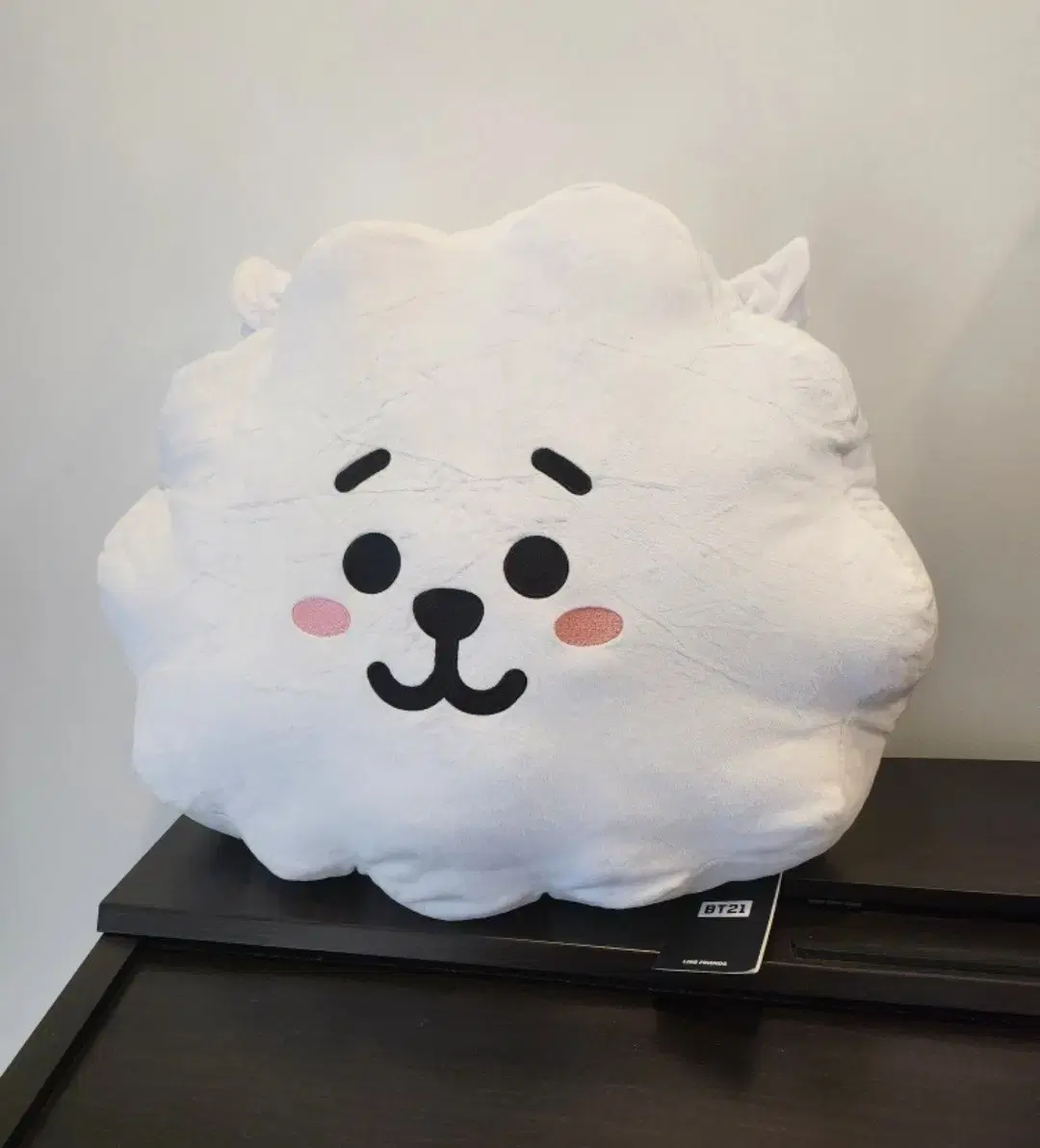 BT21 RJ 42 센티 큐션