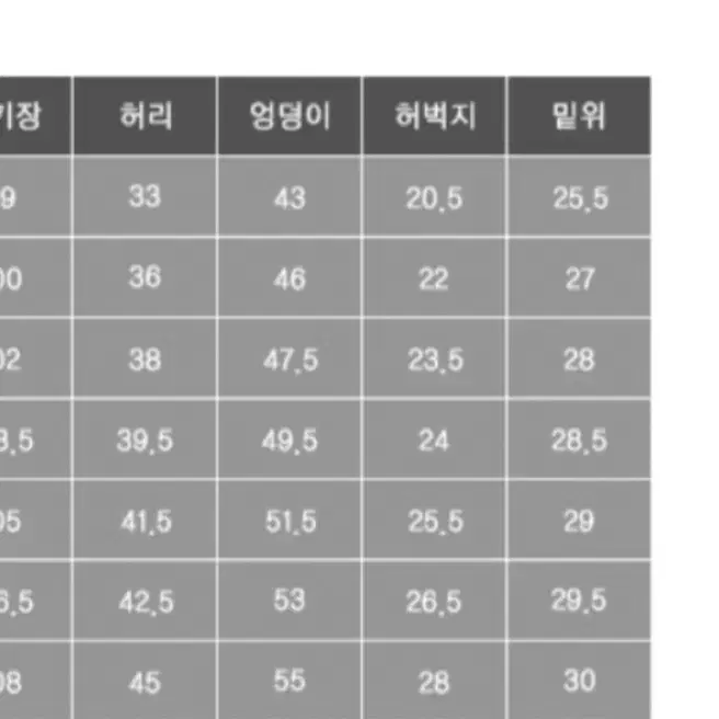 BBJ 블랙비자칼 제다이 네오 메쉬진 24사이즈(남여공용)