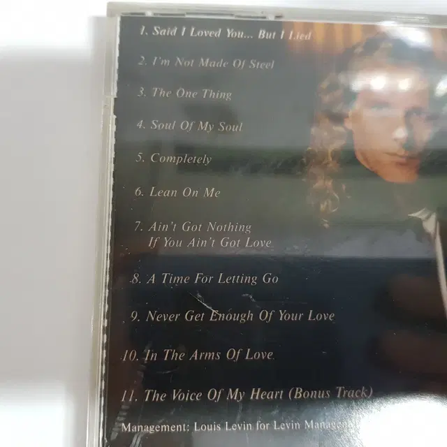 Michael Bolton - The One Thing CD