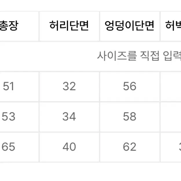 더콜디스트모먼트 TCM 스타피쉬 버뮤다팬츠 xl