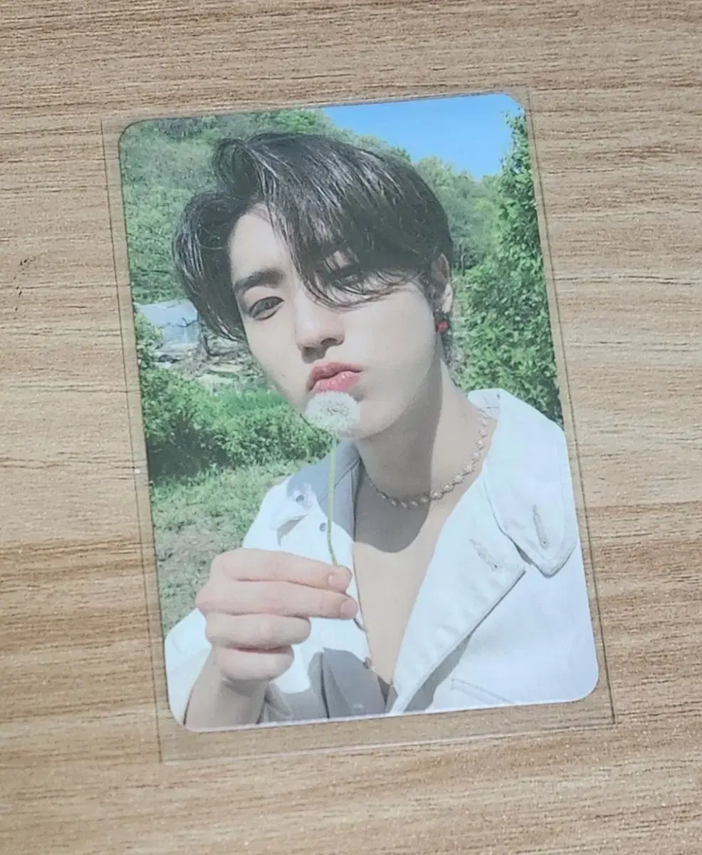 Straykids han Maxident Photocard