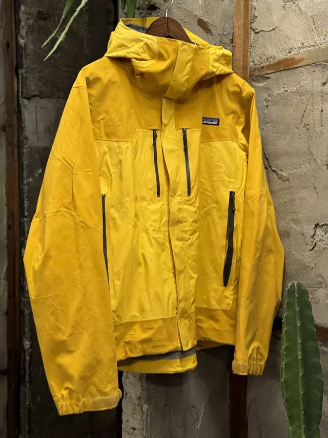 PATAGONIA 00s Mountain Parka