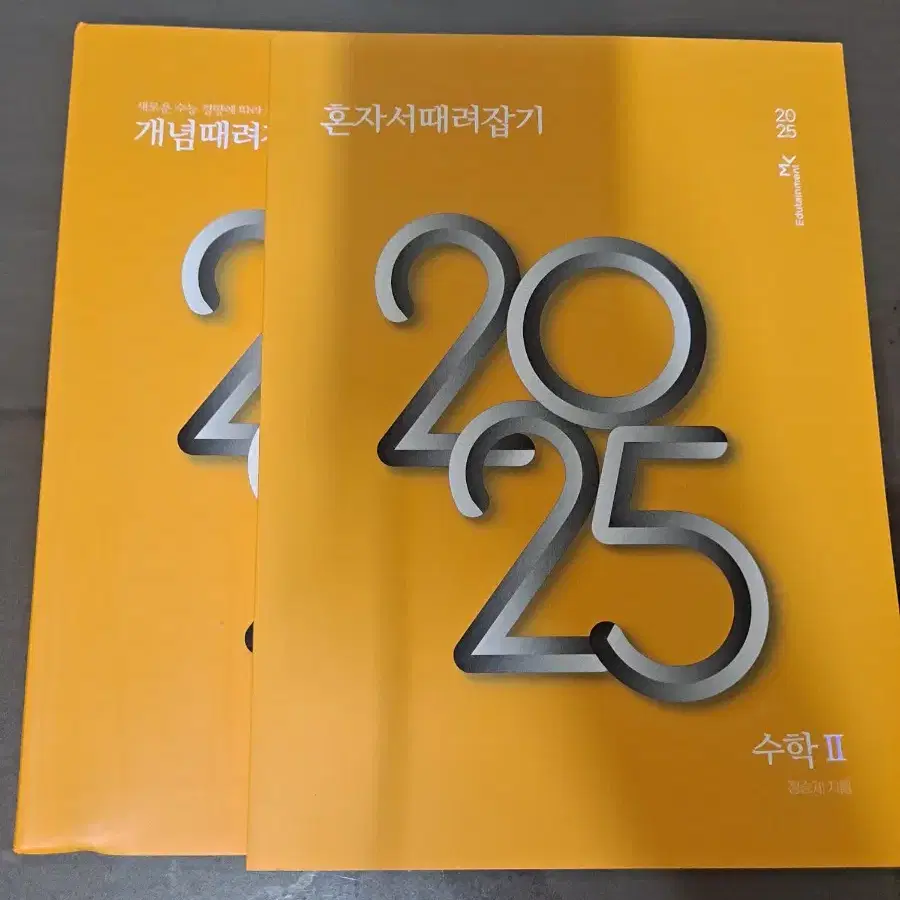 2025 개념때려잡기 수2