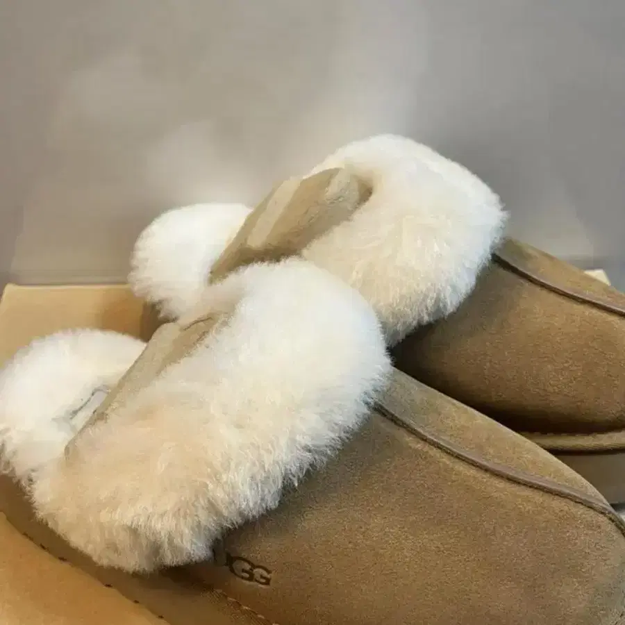 정품 어그 디스케트 슬리퍼-Ugg Disquette Slipper