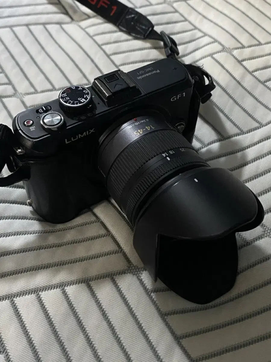 파나소닉 루믹스 DMC - GF1 카메라 dslr 판매