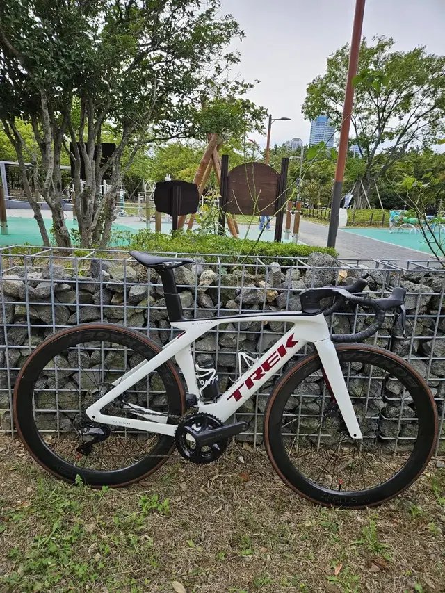 트렉 마돈 7세대 SLR 7 (TREK MADONE SLR 7)P1