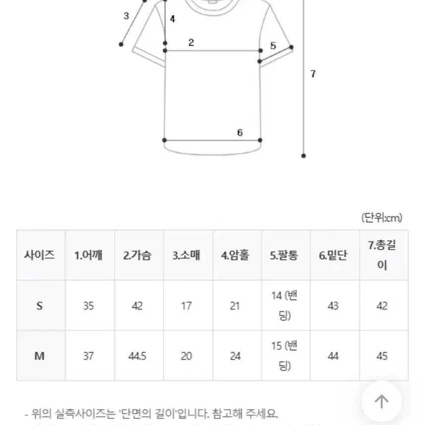 반팔 레이스 블라우스