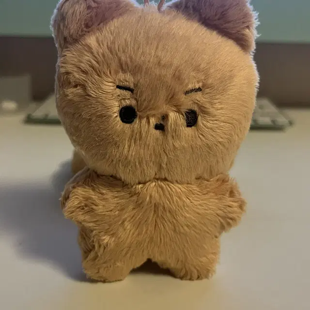 더보이즈 현재 10cm 인형 달곰이