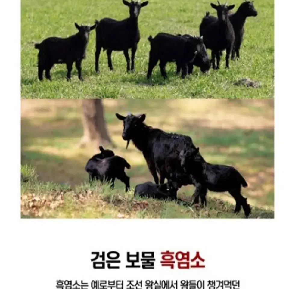 지리산 순우리 흑염소 진액