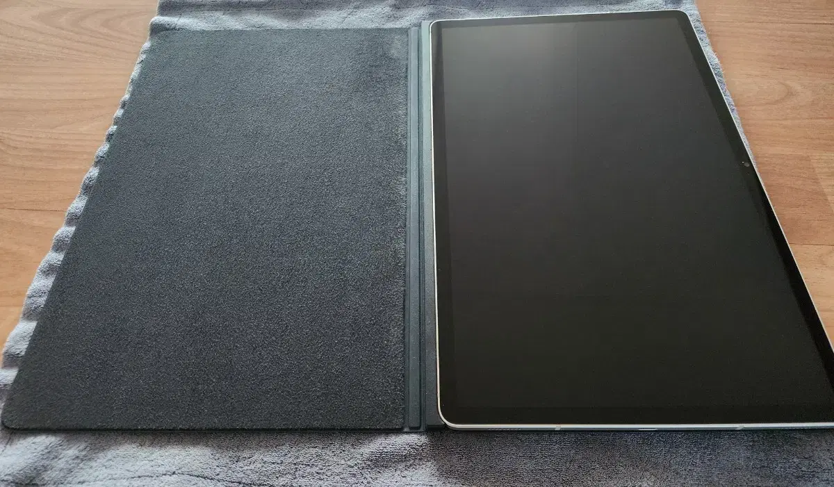 Galaxy Tab S9 Plus & 11,000 won Samsung Original Case