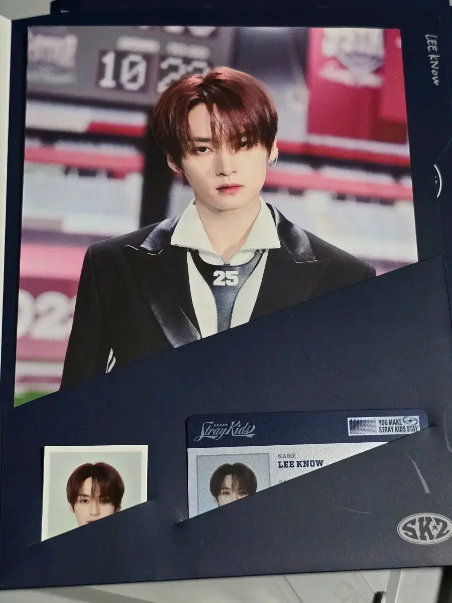 skz dome tour profileset lee know