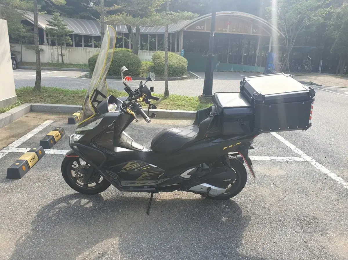 PCX125 2019년식 판매합니다