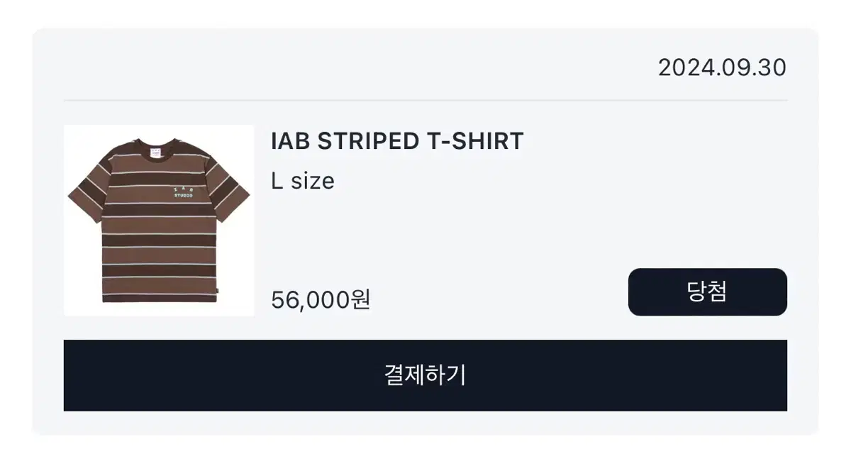 IAB STRIPED T-SHIRT BROWN 아이앱 반팔 배송지변경