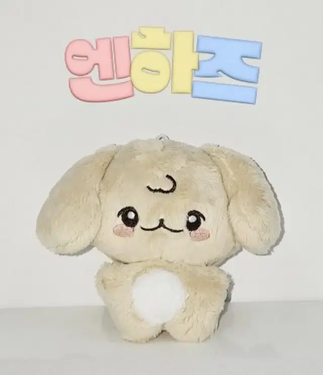 엔하즈 엔하이픈 인형 솜재윤 심뭉이 호주개 제이크 심재윤