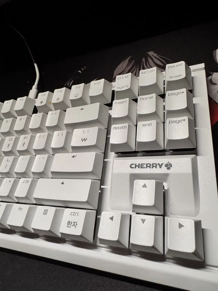 Cherry 키보드