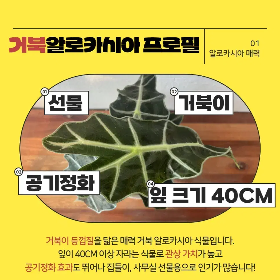 조경 식물 관리 전문업체