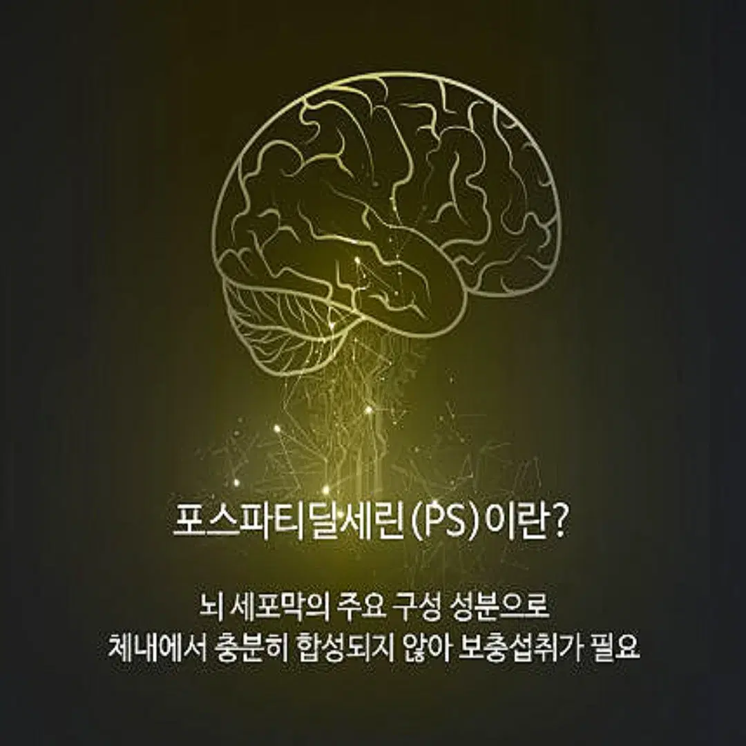 보령 인지력개선 PS 유산균 2gx30포 (무료배송)