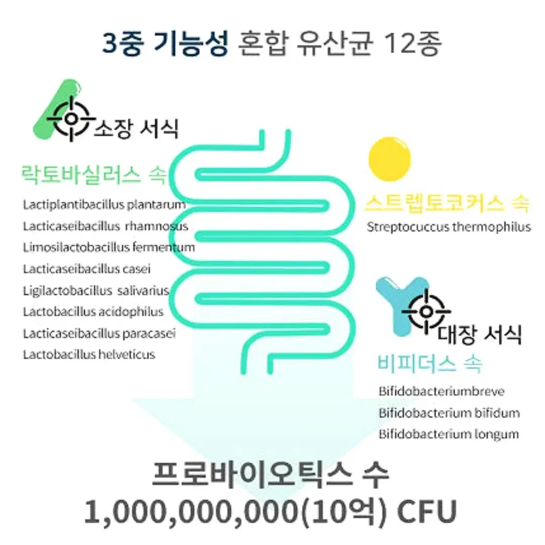 보령 인지력개선 PS 유산균 2gx30포 (무료배송)