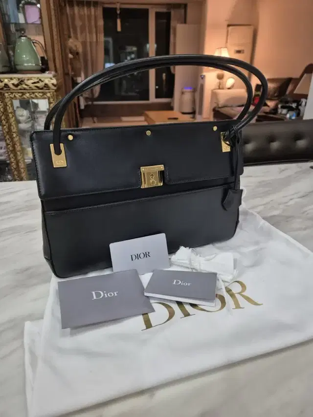 디올 DIOR 파리지엔느 핸드백