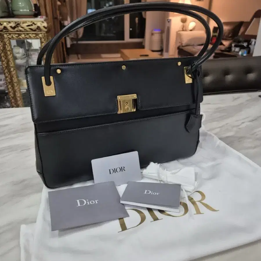 디올 DIOR 파리지엔느 핸드백