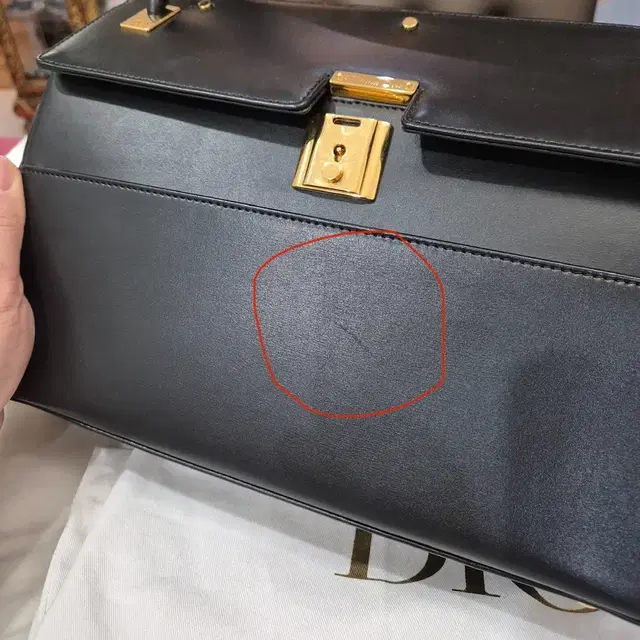 디올 DIOR 파리지엔느 핸드백