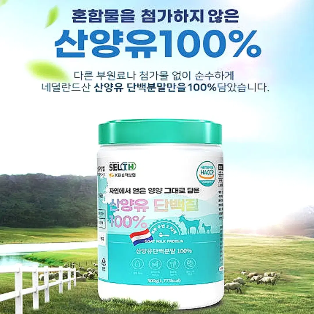 셀스 순수 산양유 단백질 100% 대용량 보충제 500g