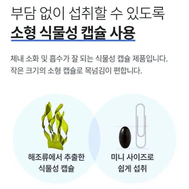 네추럴라이즈 루테인 지아잔틴 아스타잔틴 플러스 500mgx30캡슐