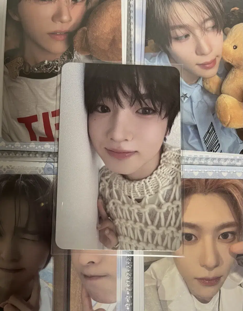 nct wish nct wish steady alpo sakuya photocard wts