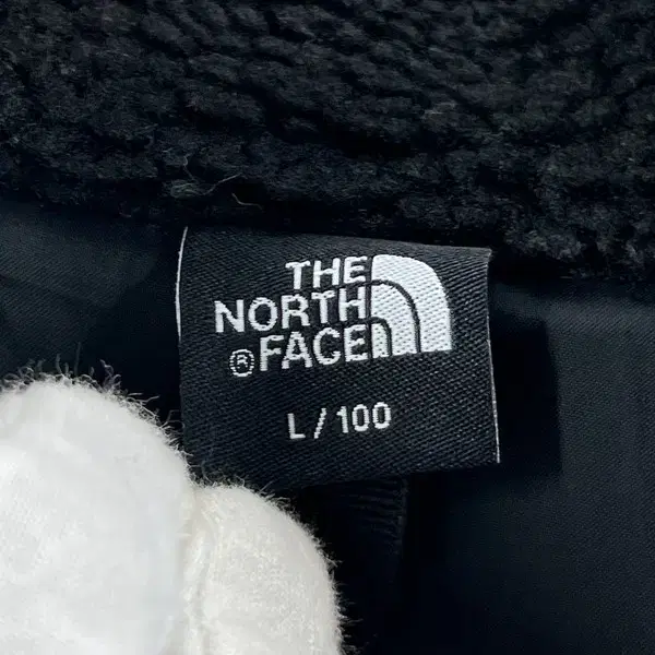 Northface 노스페이스 플리스 남성 아노락 100/빈티지홍