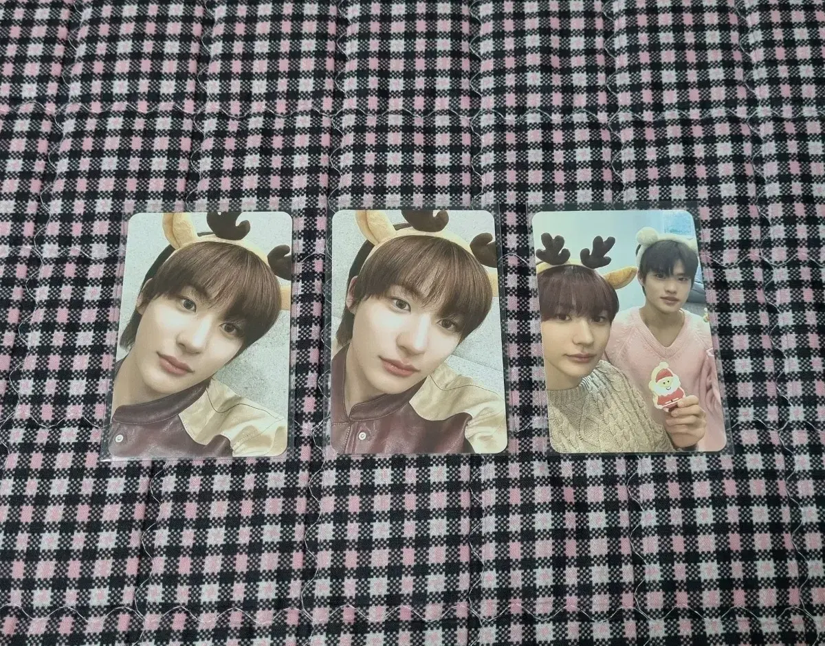 Rize photocard chanyoung sohee Pink Christmas md