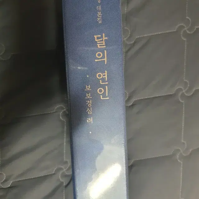 달의 연인 보보경심 려 대본집