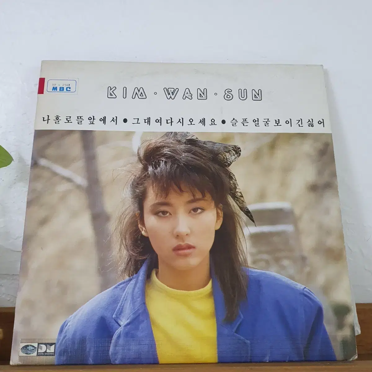 김완선 2집초반  1987  나홀로뜰앞에서  김창훈작사.작곡집