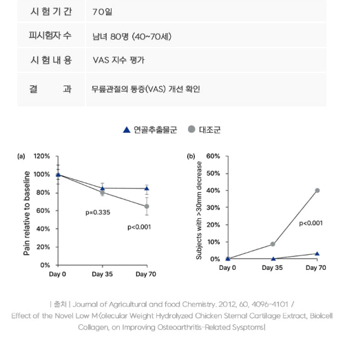 영진약품 영플랜 관절건강 뮤코다당단백 콘드로이친 60정x3BOX