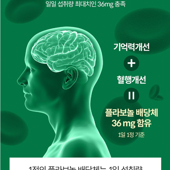 광동생활건강 광동 혈행&기억력 징코 450mg x 60정x3BOX