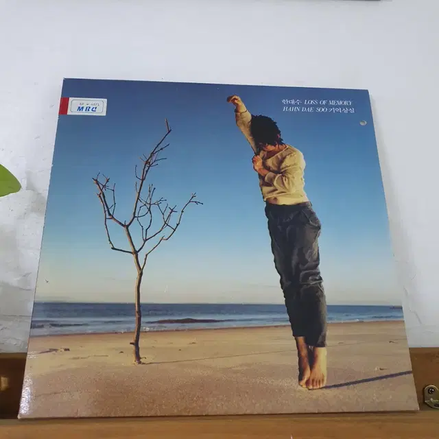 한대수 LP  1990   기억상실