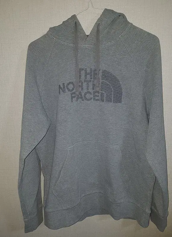 The North Face Hoodie100 L