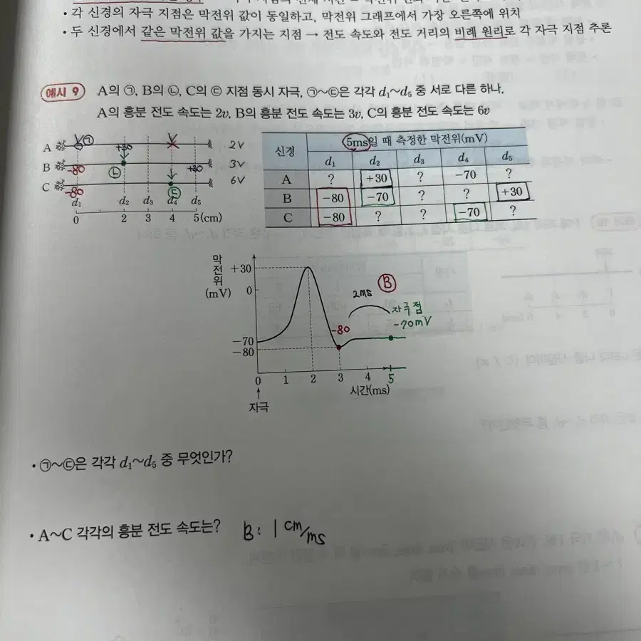 백호 [생명과학l] 2025 상위권을 위한 크리티컬 스킬 팝니다