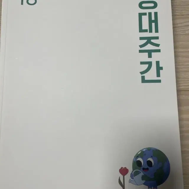 시대인재 메가스터디 지구과학1 엄영대 주간지