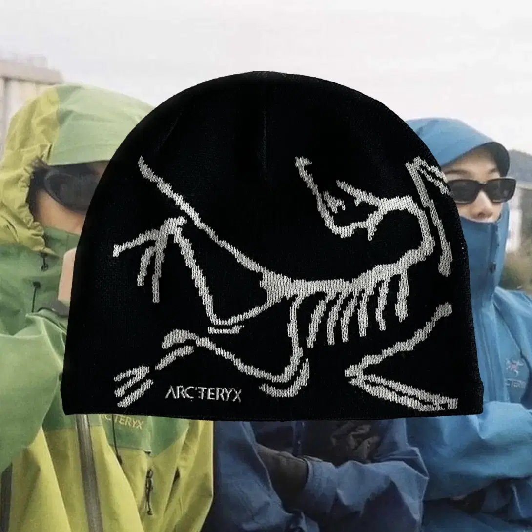 ARC'TERYX Bird head toque Beanie