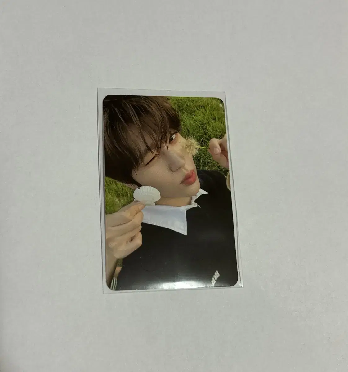 NCT Wish pop up tc sion photocard WTS